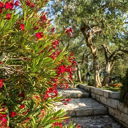 Ela Вилла Макарска